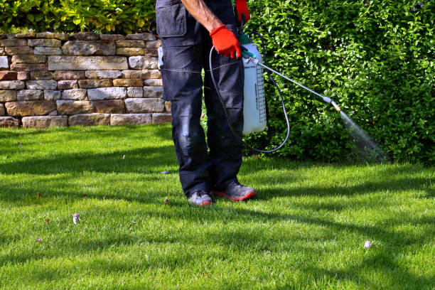 Port Chester, NY Pest Control Company